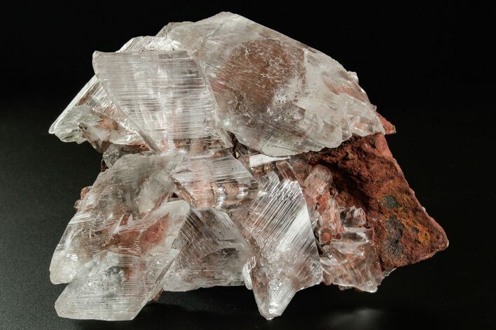 Glassy Selenite Crystal Cluster - Naica Mine, Mexico #372162